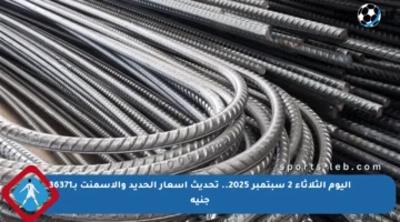 اليوم الثلاثاء 2 سبتمبر 2025.. تحديث أسعار الحديد والأسمنت بـ36371 جنيه